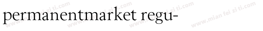 permanentmarket regu字体转换